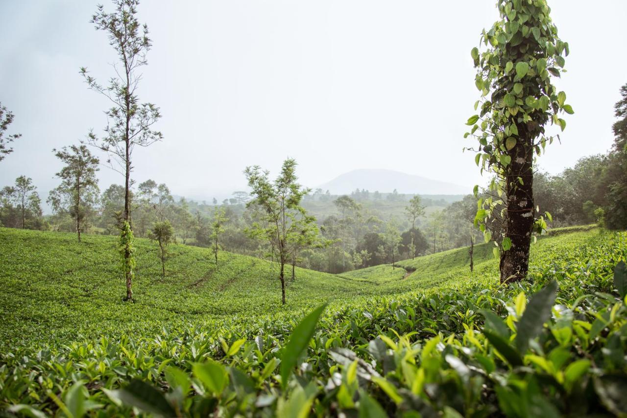 Misty Mountain Experience By Perfect Stays Pīrmed Buitenkant foto