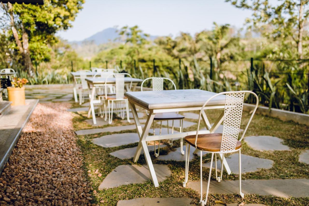 Misty Mountain Experience By Perfect Stays Pīrmed Buitenkant foto
