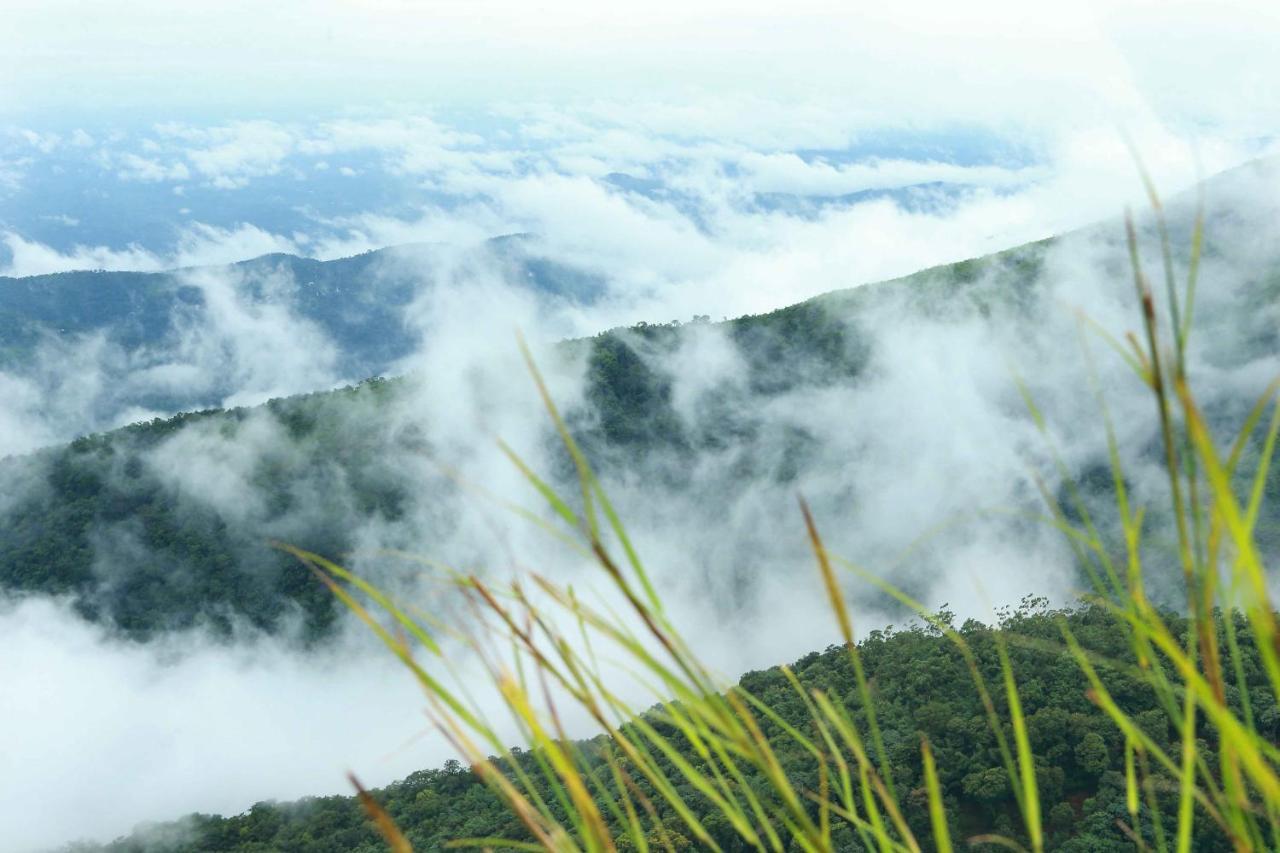 Misty Mountain Experience By Perfect Stays Pīrmed Buitenkant foto