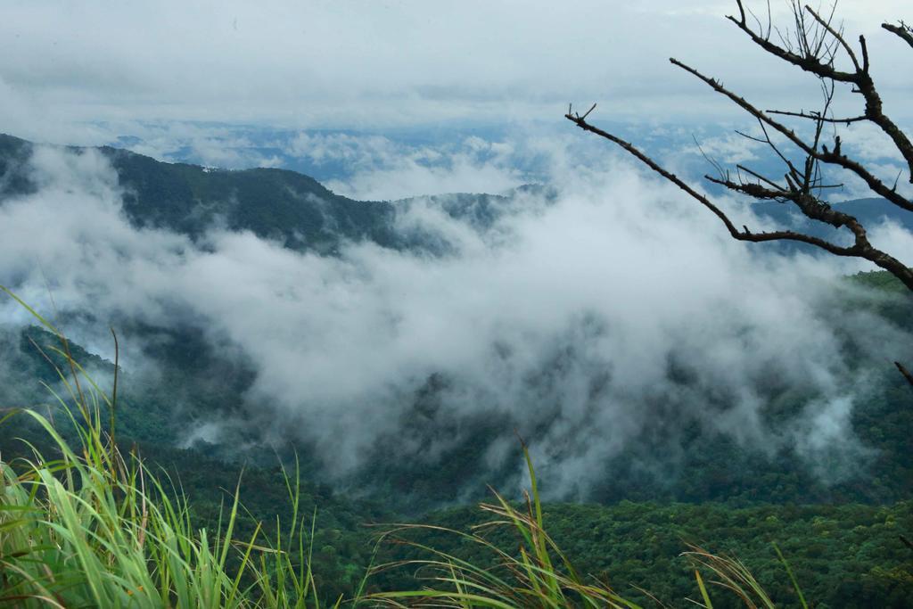Misty Mountain Experience By Perfect Stays Pīrmed Buitenkant foto