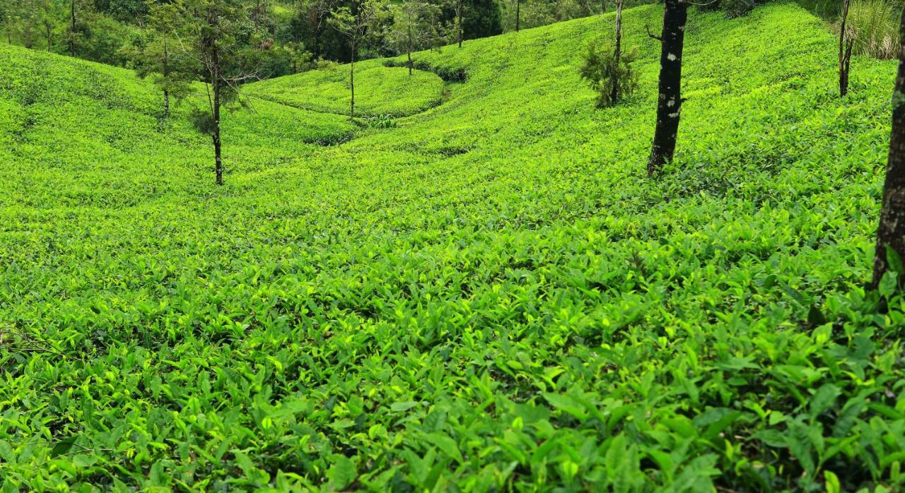 Misty Mountain Experience By Perfect Stays Pīrmed Buitenkant foto